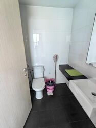 Opal Suites (D12), Apartment #495881631